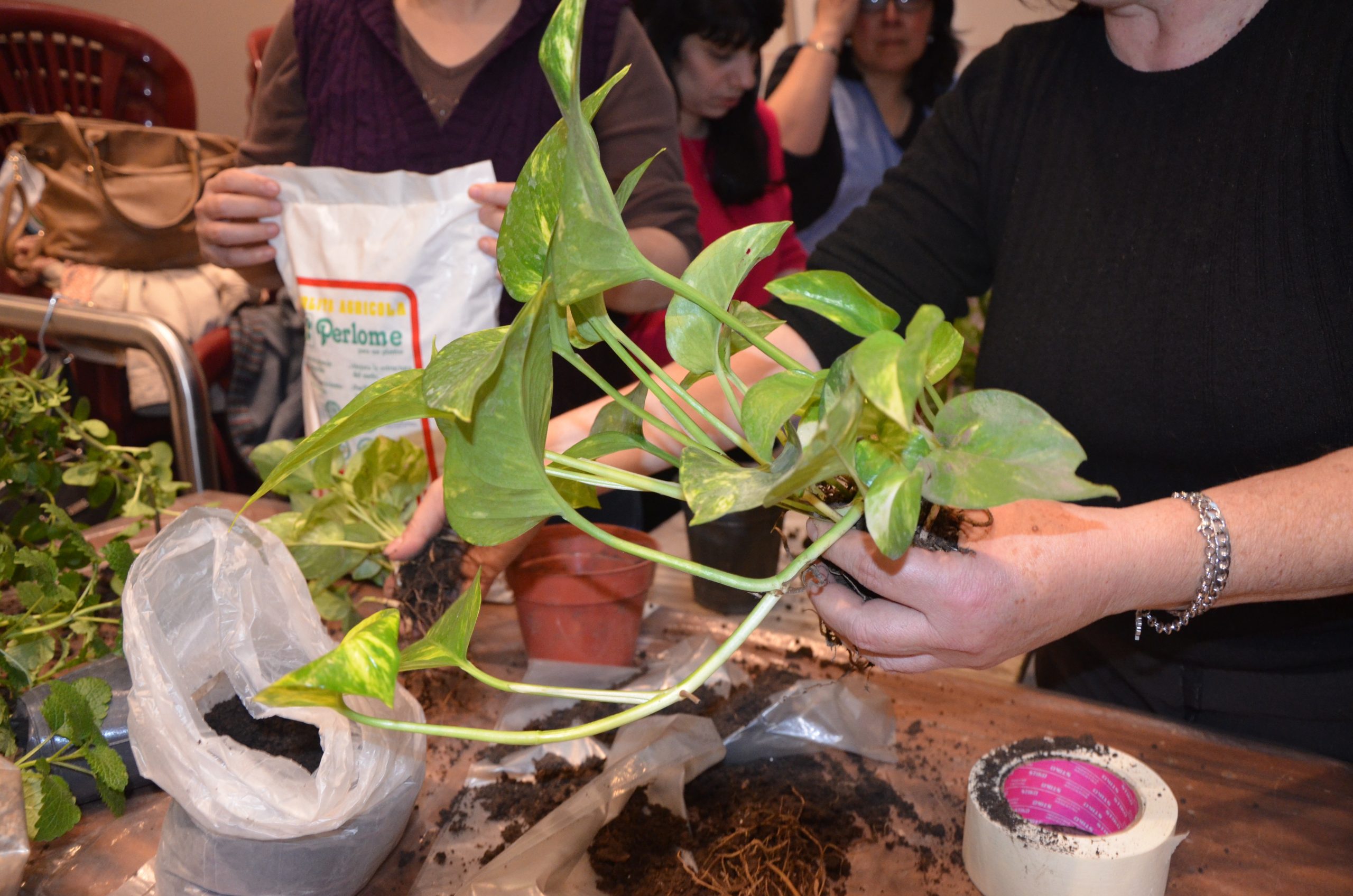 CURSO – Proyectos de Educación Ambiental en la Escuela